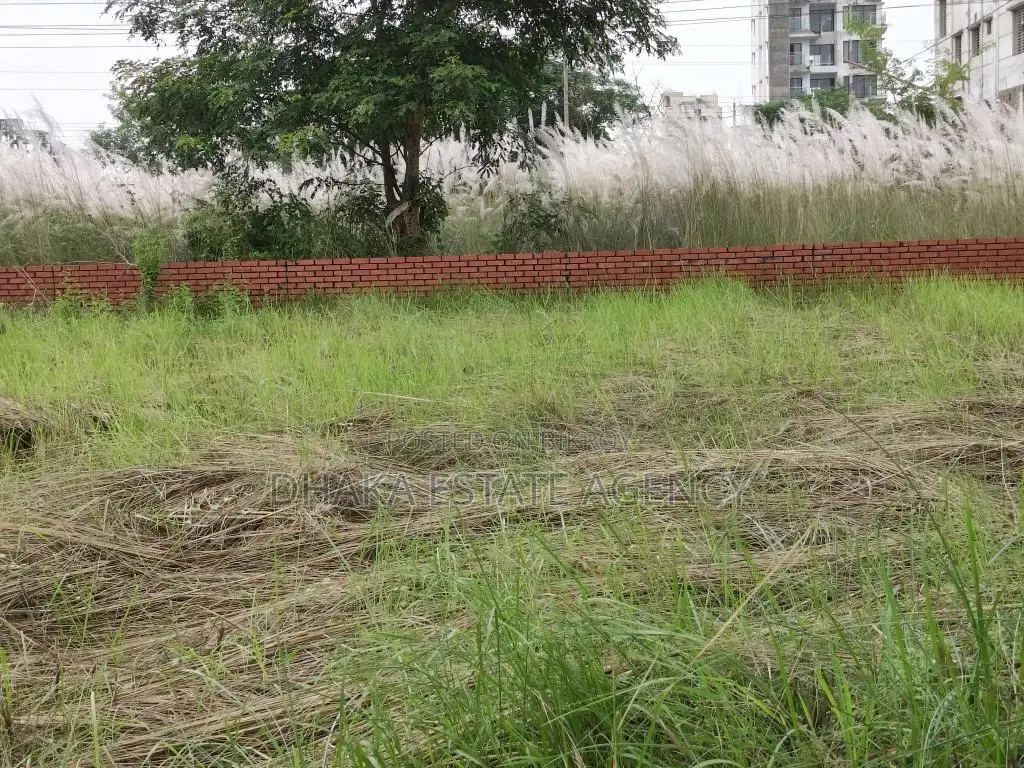 Commercial plot i-ext 20 katha