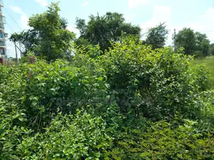 ইউনাইটেড সিটি মাদানী এভিনিউ ১০০ ফিট