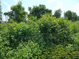ইউনাইটেড সিটি মাদানী এভিনিউ ১০০ ফিট