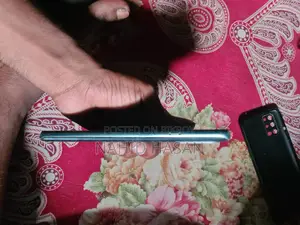 OnePlus 8T (Used)