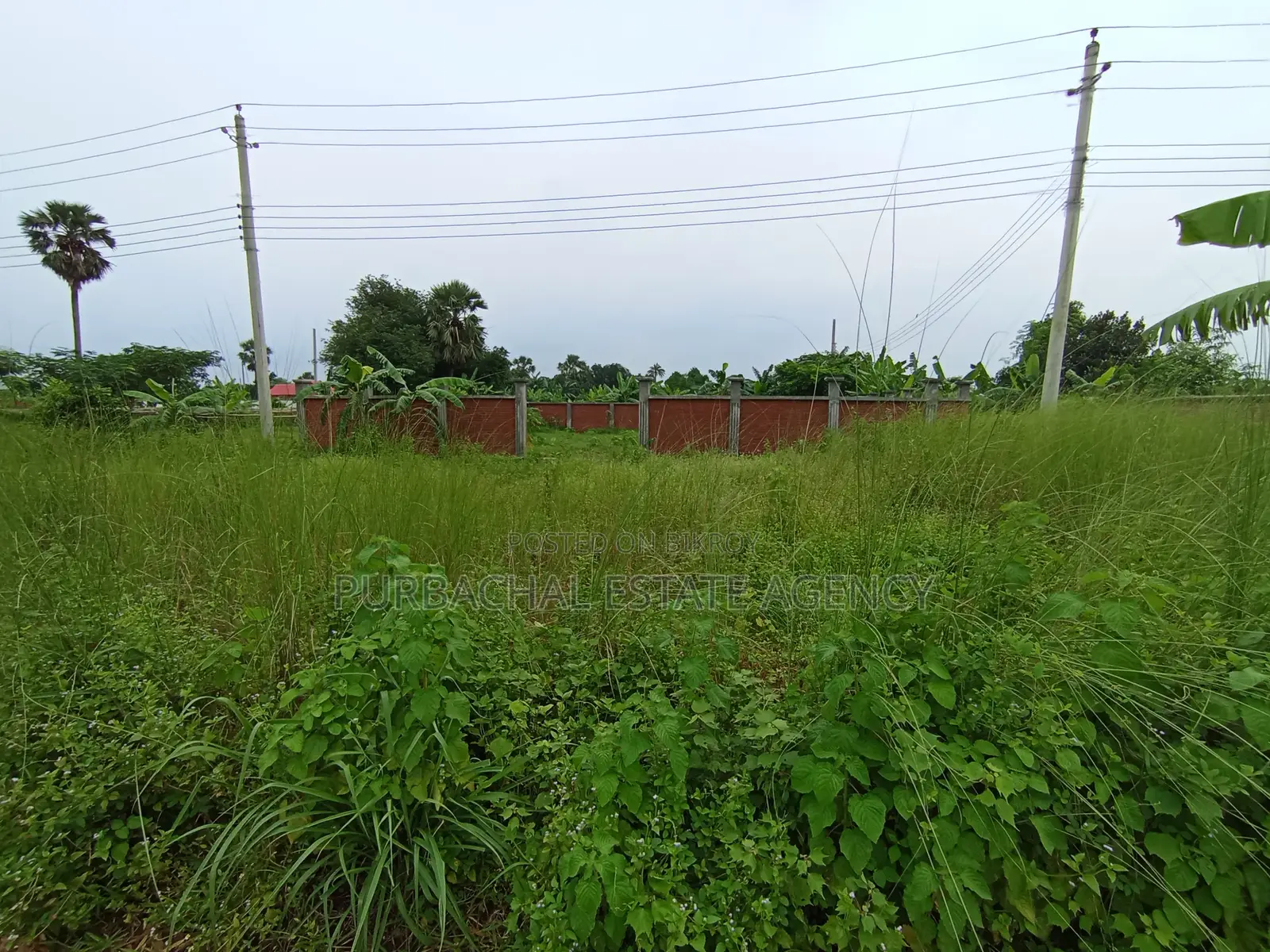 Near 160ft, 3 Katha Plot In Sec#22