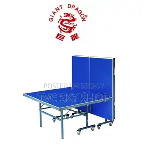 TABLE TENNIS GIANT DRAGON 2001B 18mm