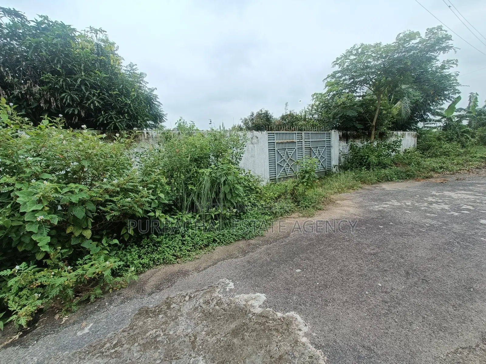On 100ft, South Facing, 3 Katha Plot In Sec#24
