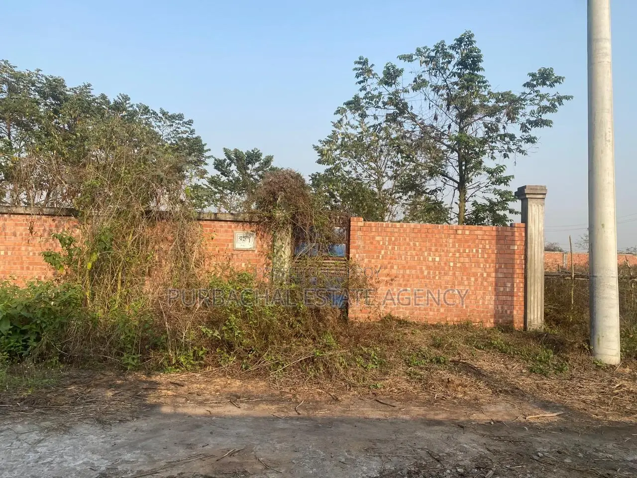 Nearby 100ft, East Facing, 3 Katha Plot In Sec#28