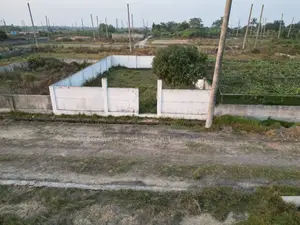 সেক্টর ২৫-এ ফরেস্ট ভিউ, ৭৫ ফুট সামনের রাস্তা, ১০ কাঠার প্লট