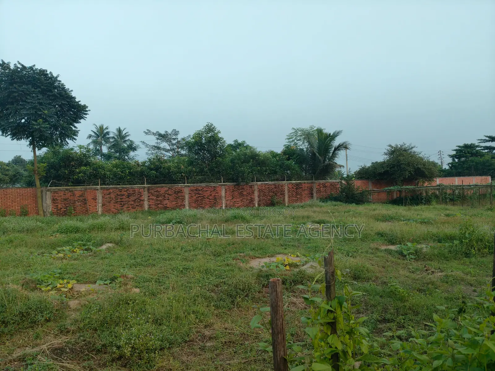 Lake View Corner, East Facing, 3 Katha Plot In Sec#15