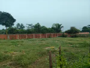 Lake View Corner, East Facing, 3 Katha Plot In Sec#15