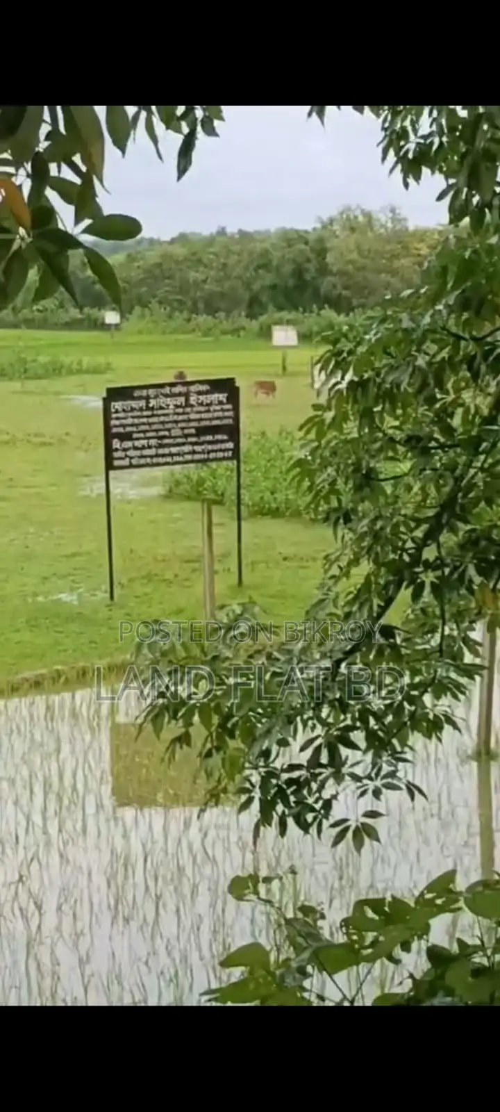Highly Suitable Residential/Commercial Plot for Business @ 116 Decimal Land for Sale