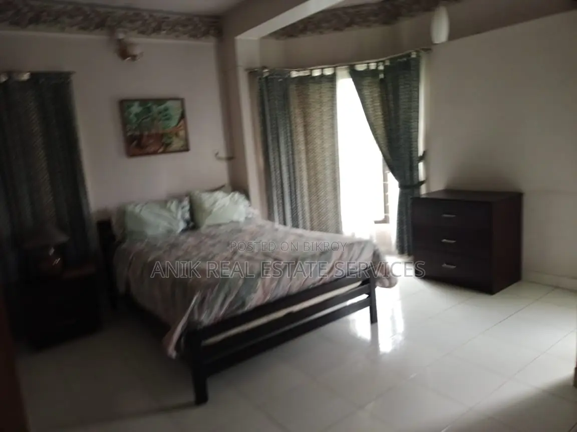 Lake View luxurious Full Farnised Flat Rent In Gulshan 2