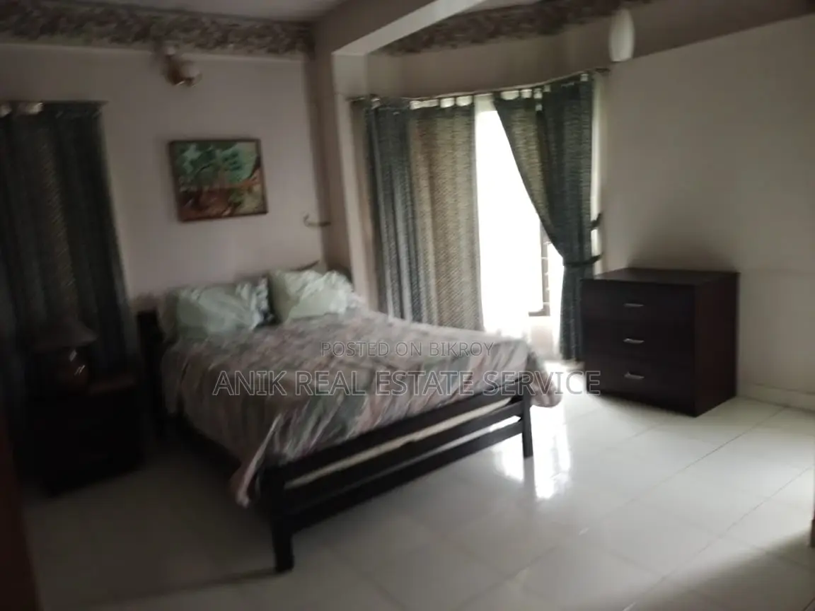 Lake View luxurious Full Farnised Flat Rent In Gulshan 2