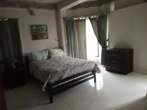 Lake View luxurious Full Farnised Flat Rent In Gulshan 2