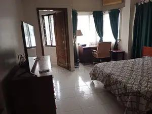 Lake View luxurious Full Farnised Flat Rent In Gulshan 2
