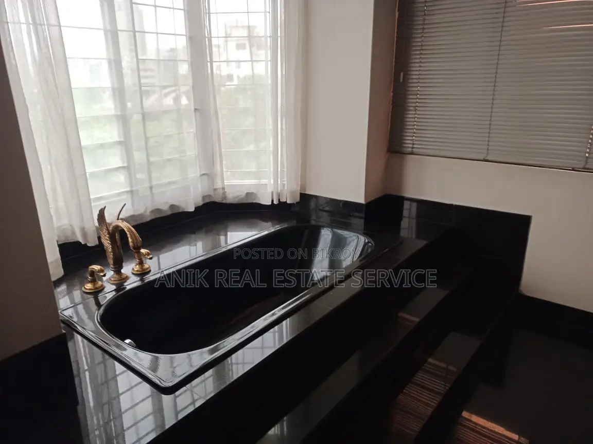 Lake View luxurious Full Farnised Flat Rent In Gulshan 2