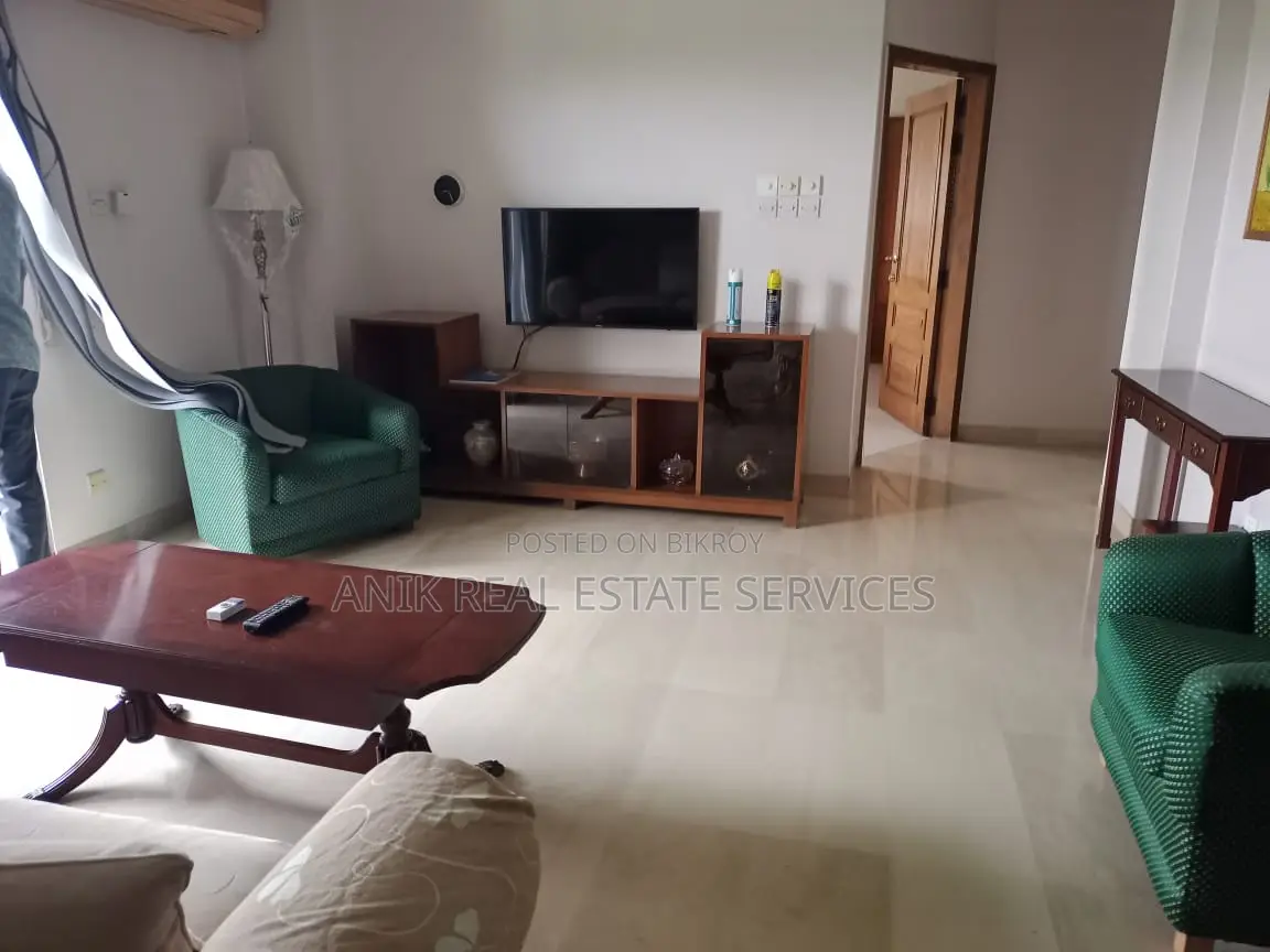 Lake View luxurious Full Farnised Flat Rent In Gulshan 2