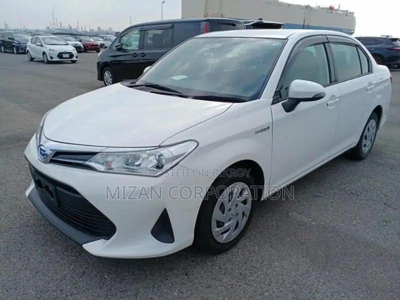 Toyota Axio Ex package 2020