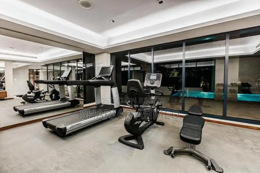 6000 Sqft Luxury Apartment For Rent In Gulshan Diplomatic Zone