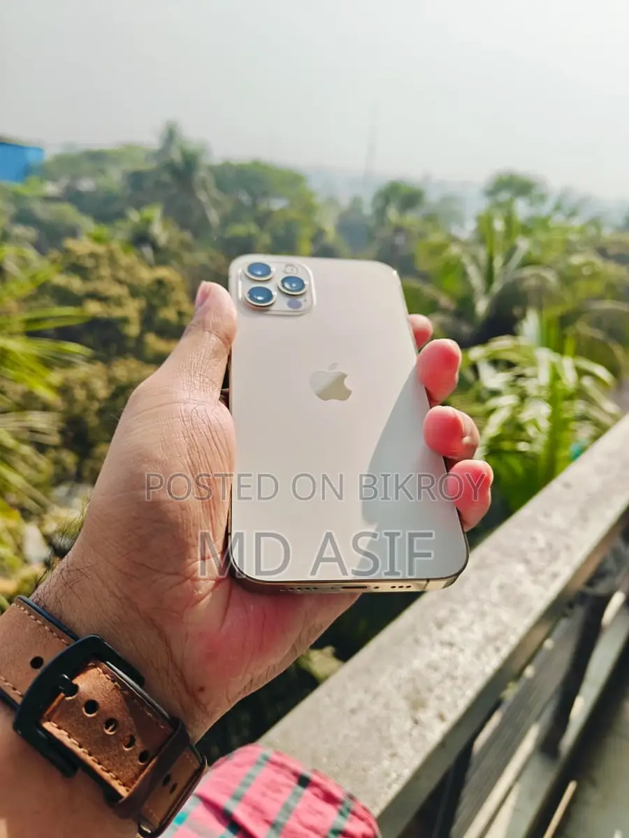 Apple iPhone 12 Pro White and Gold (Used)