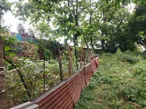 288,000 sqft. land area for factory at Rupshi, Narayangonj