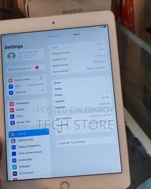 iPad Air 2 Large Display iPad 64GB