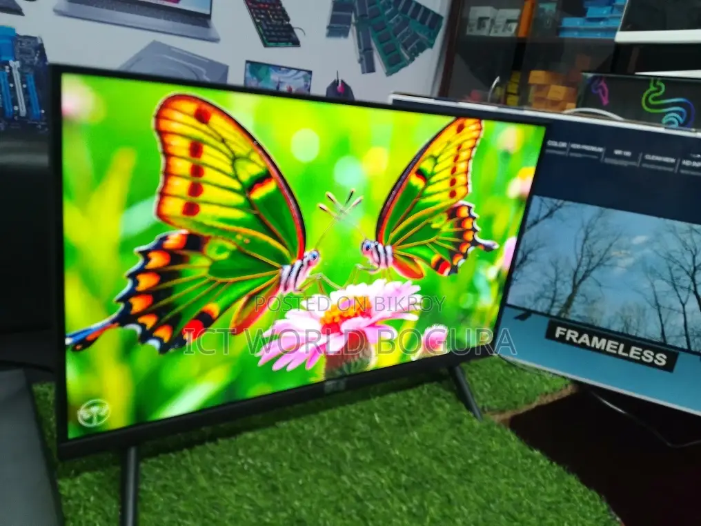 24" Borderless TV Monitor