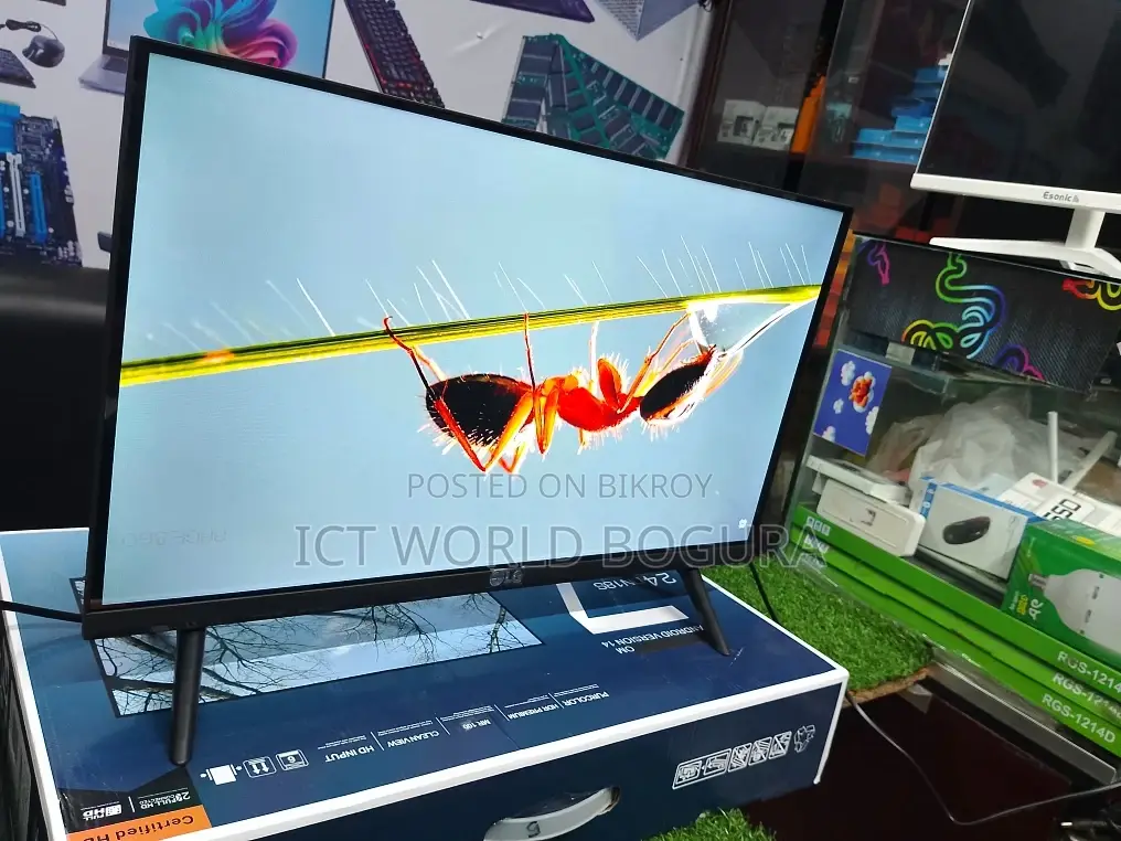24" Borderless TV Monitor