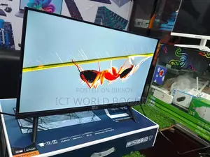 24" Borderless TV Monitor