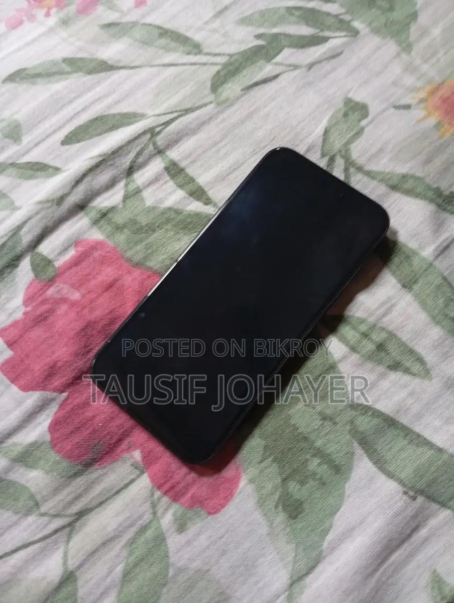Apple iPhone 15 Pro Max 256 GB | SG Variant (Used)