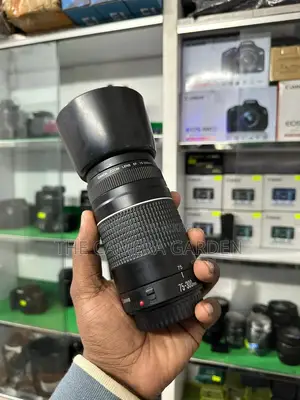 canon 75 300mm lens new year offer