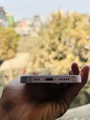 Apple iPhone 14 (Used)