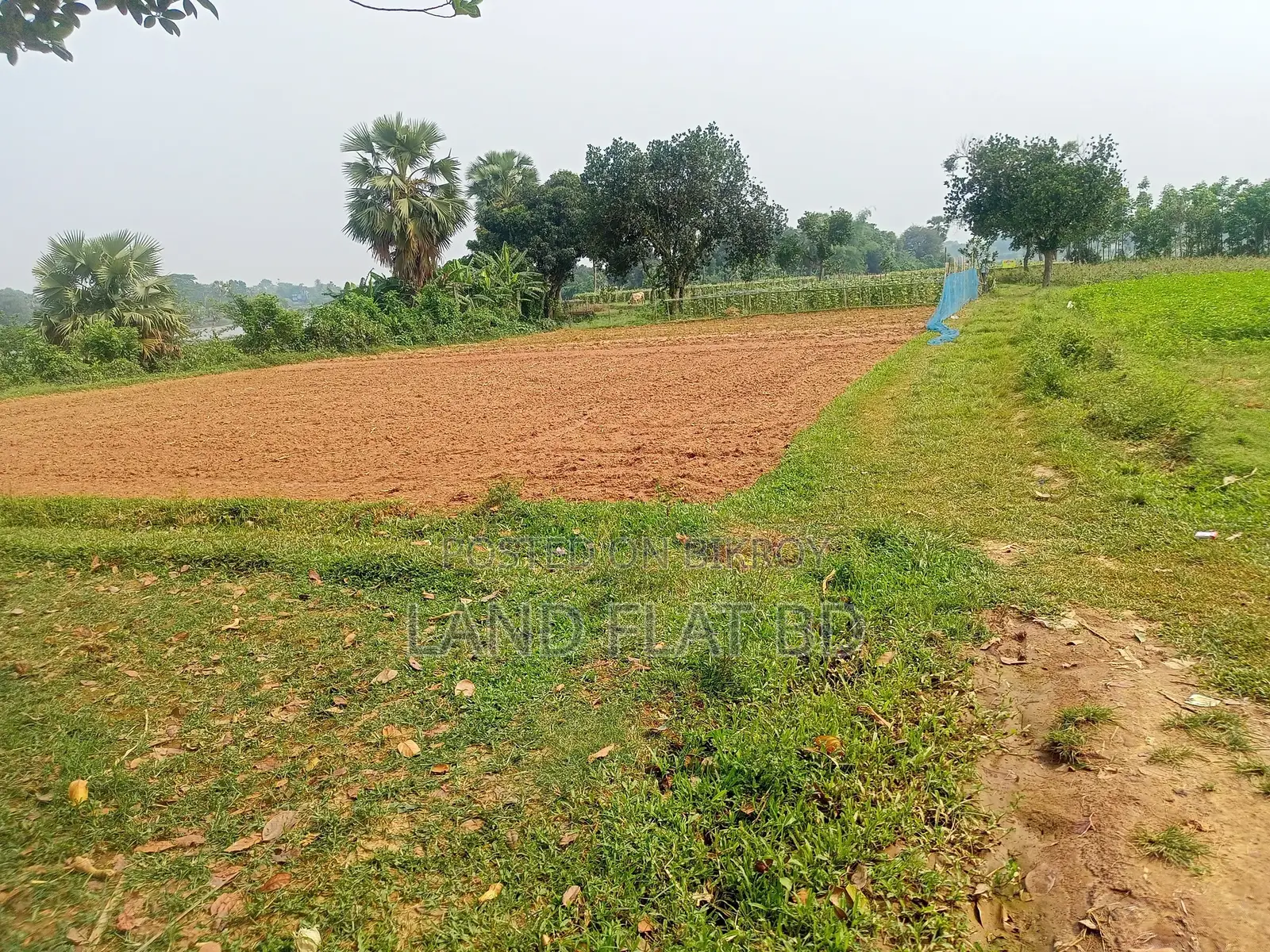 Purchase 6 Katha of Land with Cash or a Five-Year Installment Plan