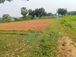 Purchase 6 Katha of Land with Cash or a Five-Year Installment Plan