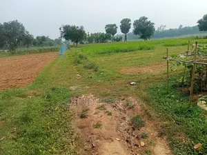 Purchase 6 Katha of Land with Cash or a Five-Year Installment Plan