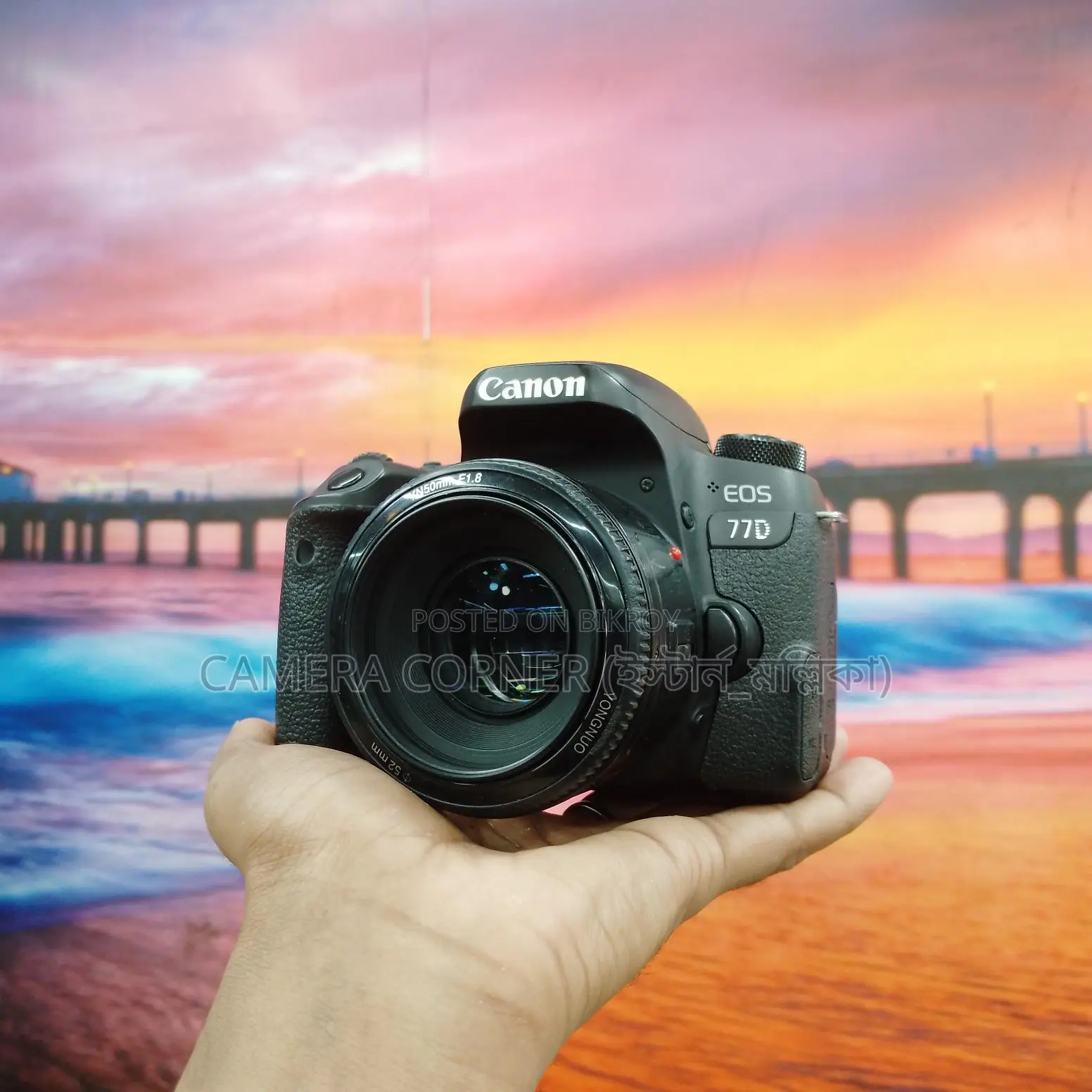 Canon 77D & yn50mm f1.8 lens