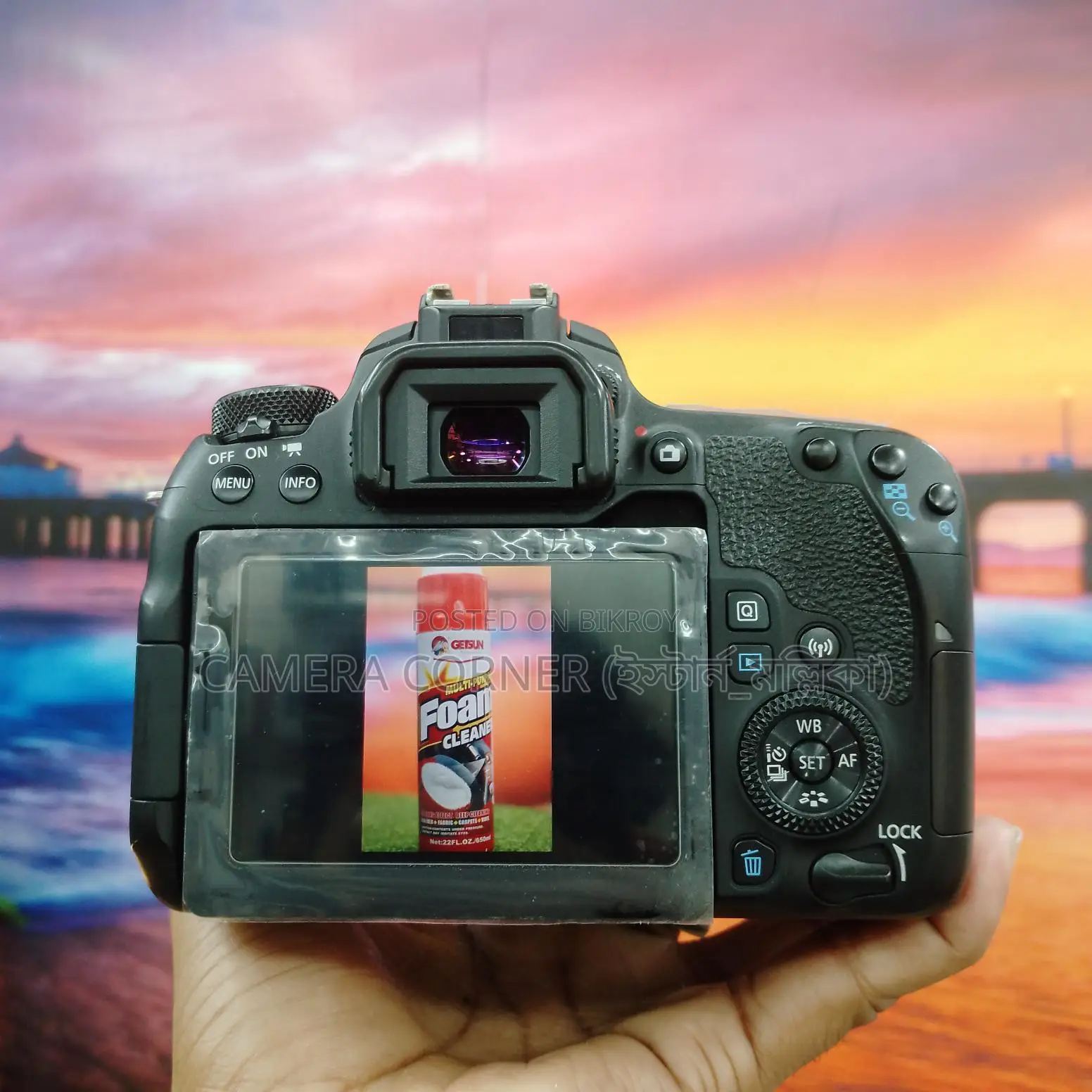 Canon 77D & yn50mm f1.8 lens