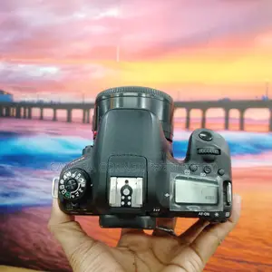 Canon 77D & yn50mm f1.8 lens
