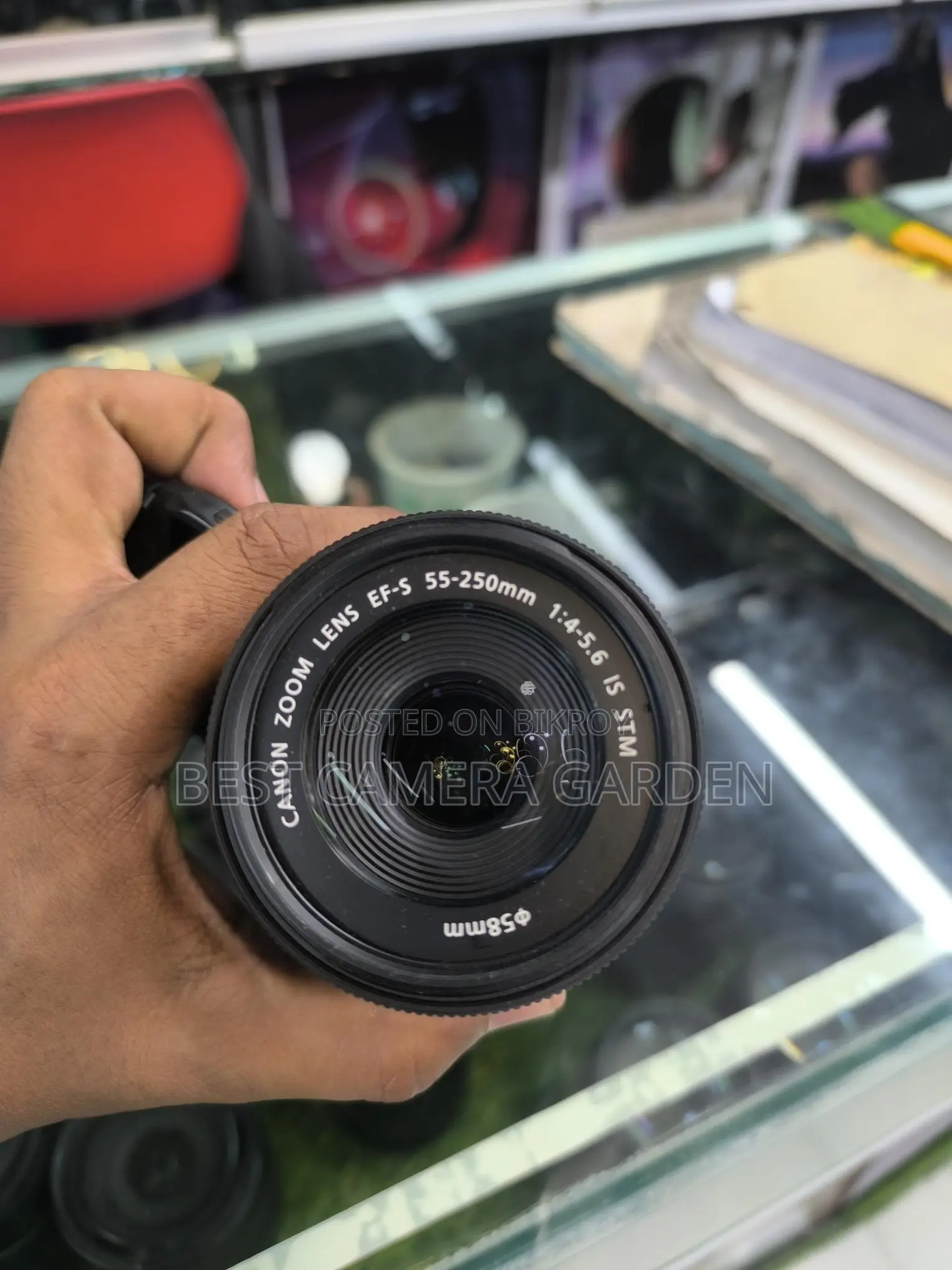 Canon 55-250 STM Lens