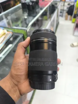 Canon 55-250 STM Lens