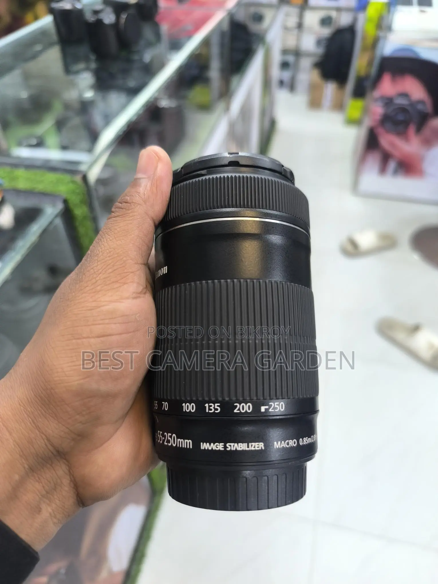 Canon 55-250 STM Lens