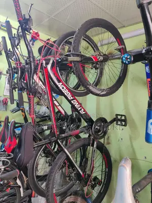 Bicycle for Sale
