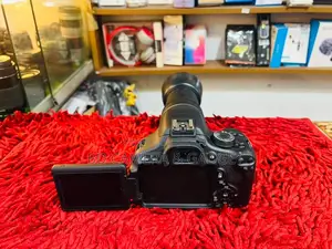 Canon 600D 75-300 zoom lens..