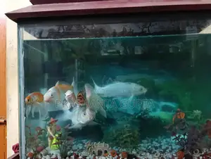 Aquarium For Sale