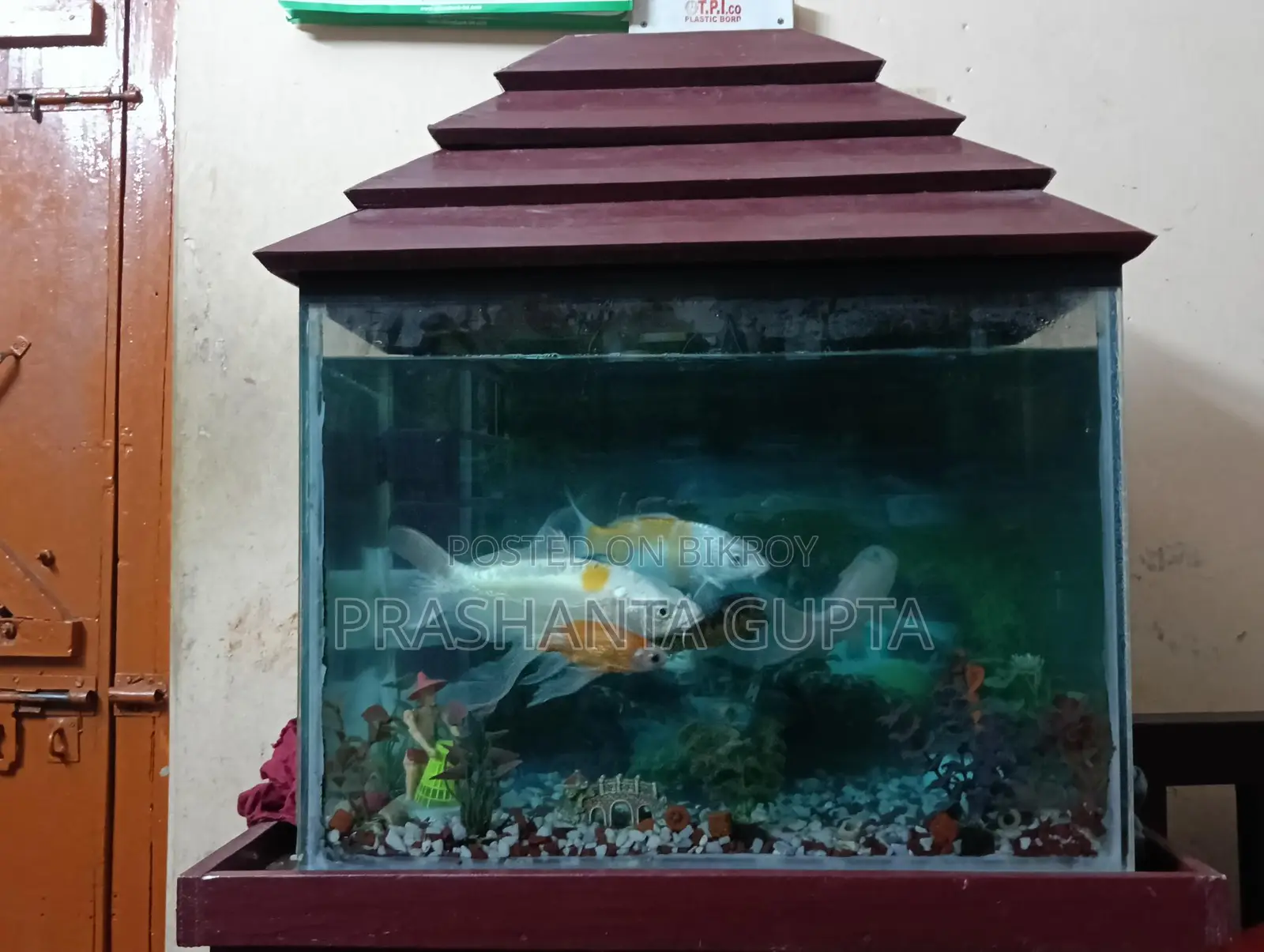 Aquarium For Sale