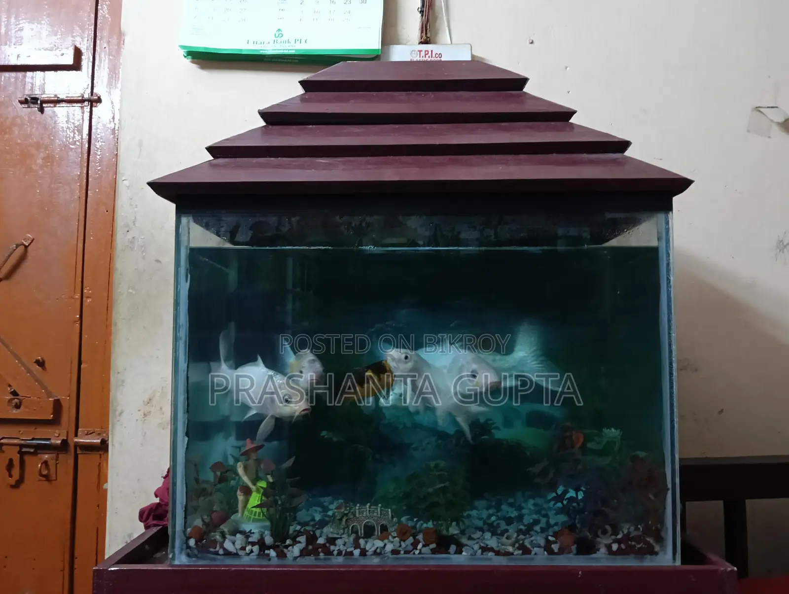 Aquarium For Sale