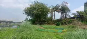 ১২.৫ কাঠার প্লট বিক্রয় হবে,কামারপারা ।