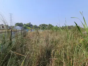 Clear title land for sale on an urgent basis.