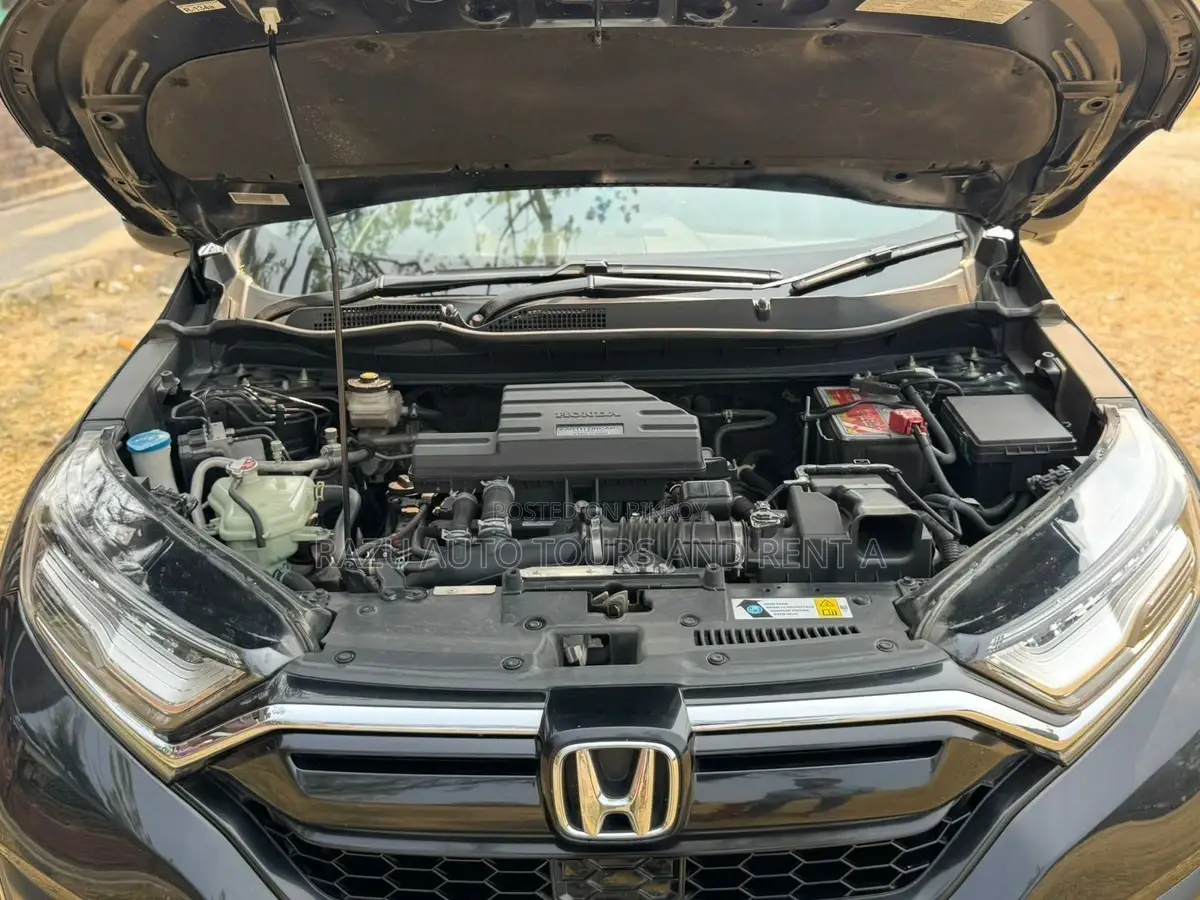 CR-V mask rent