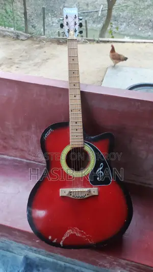 Guitar