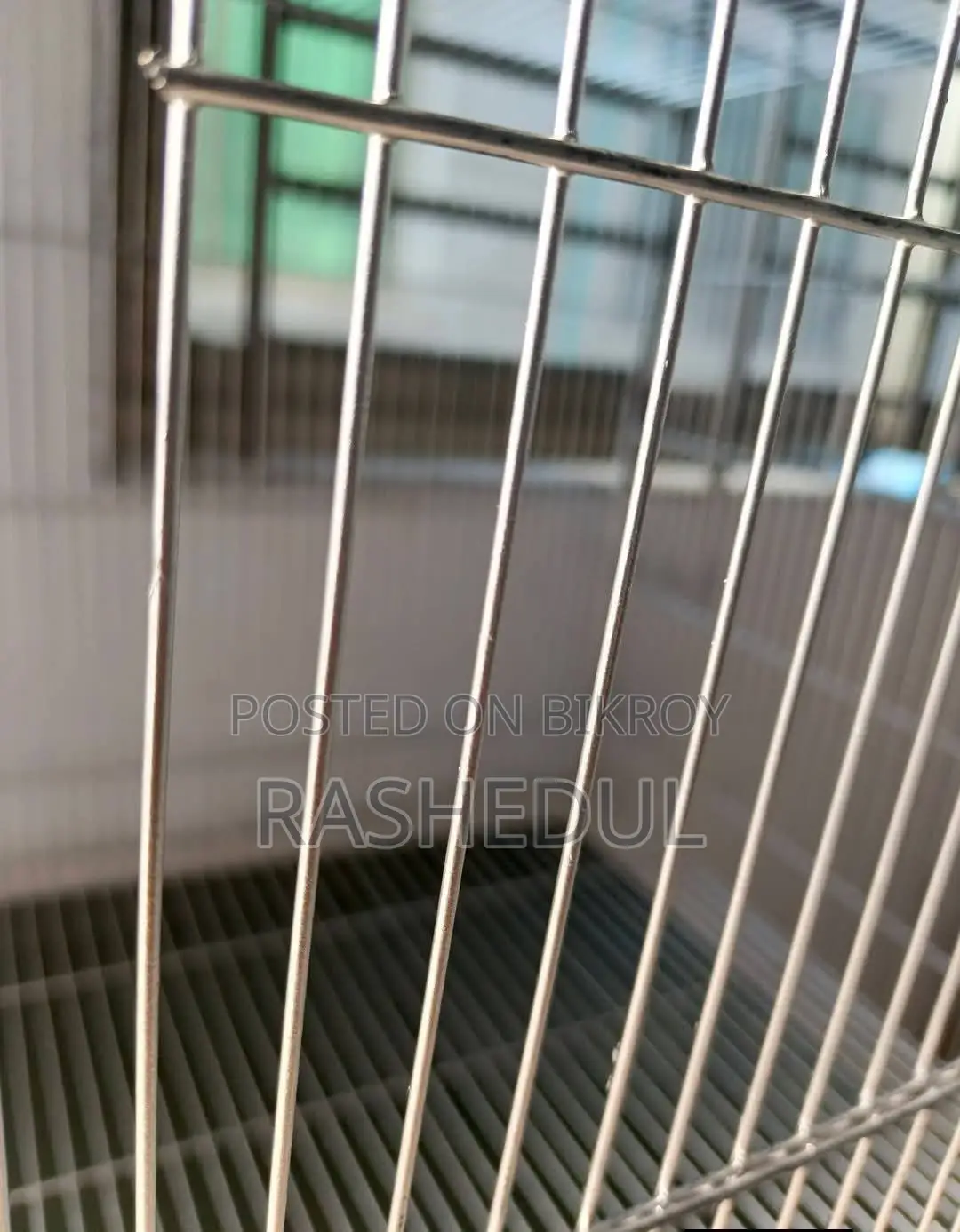 Bird Cage