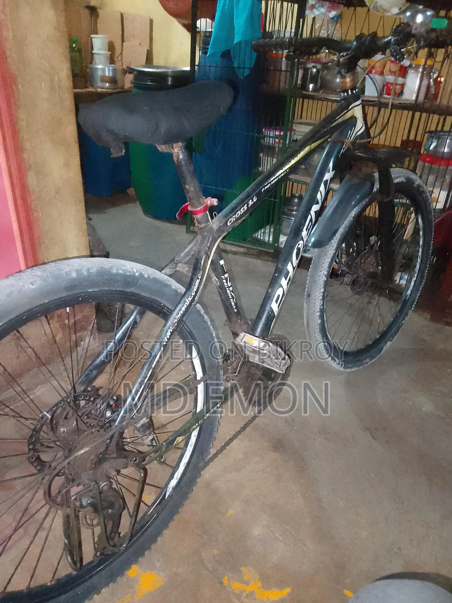 Phoenix Bicycle for Sale