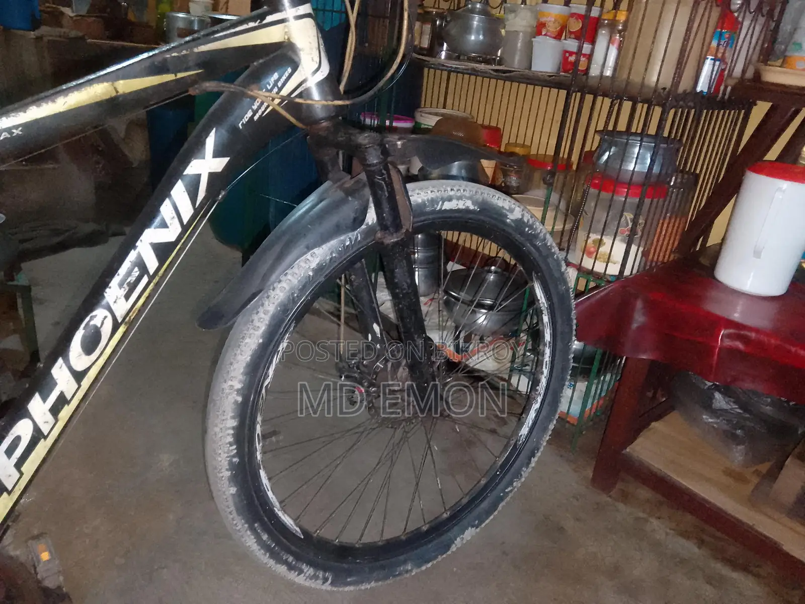 Phoenix Bicycle for Sale